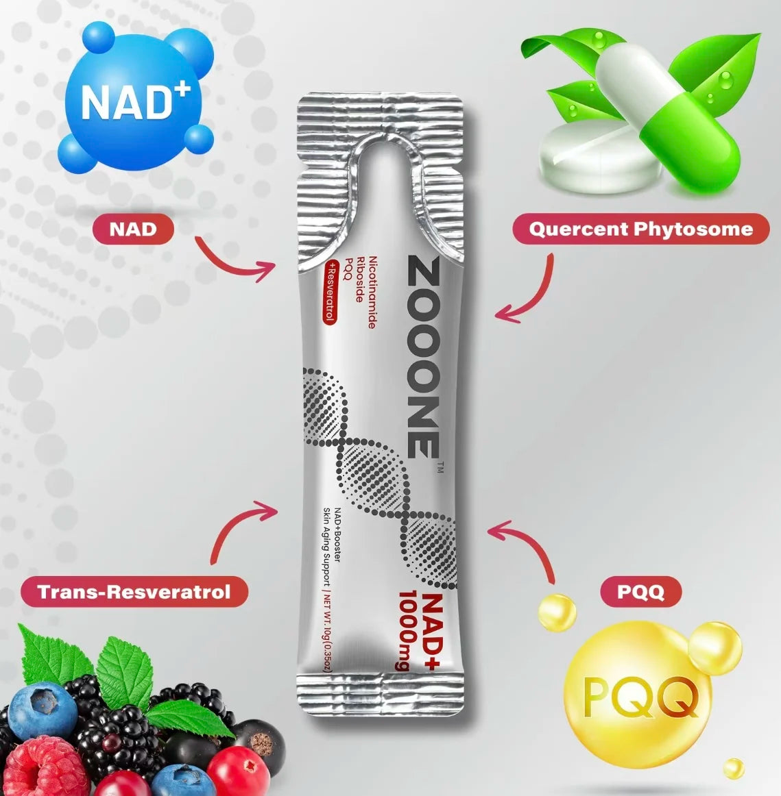 ZOOONE NR1000-NAD + Berry Flavor Drink Mix 30-Pack for Skin Aging Support, Energy, and Focus - Vitamin Supplement Healthcare