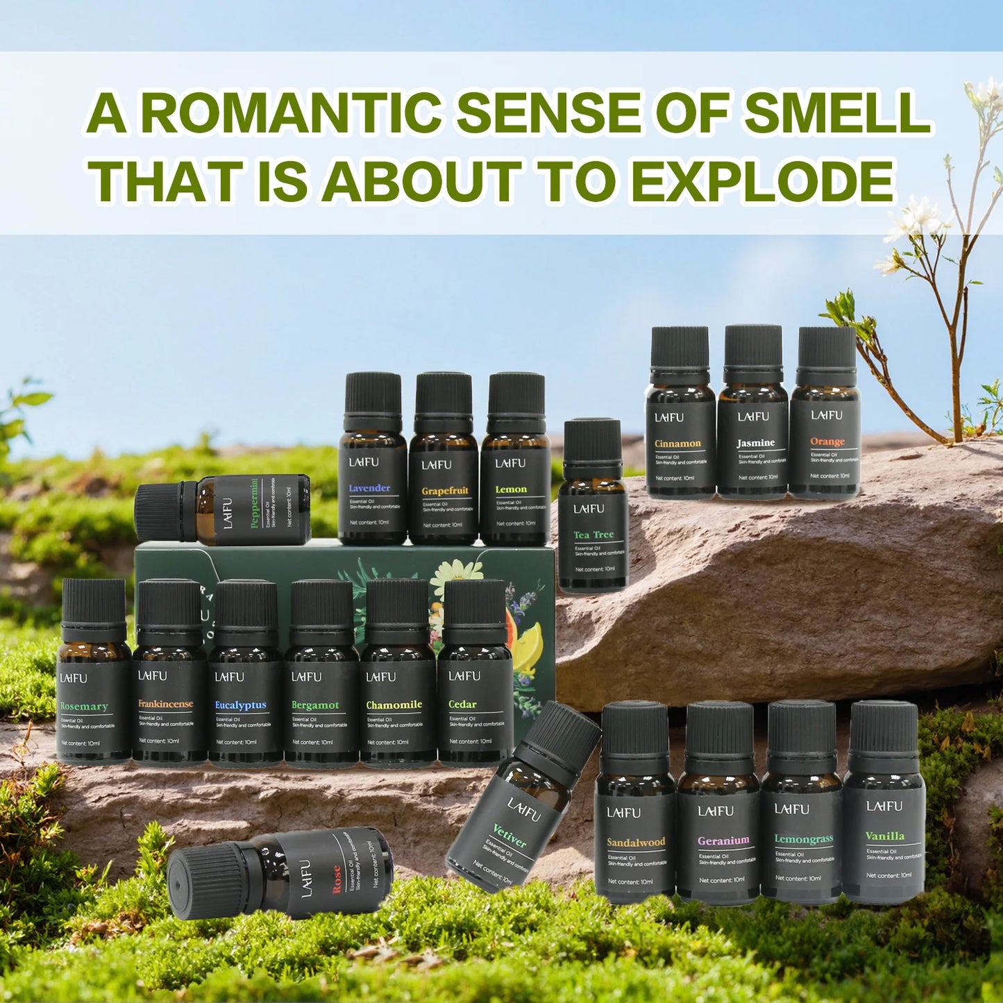 Water Soluble Essential Oil Set for Aromatherapy Humidifier & Diffuser Home Fragrance for Soap Making Hotel & Restaurant Use