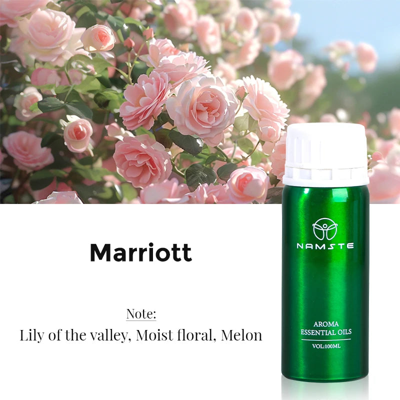 NAMSTE Electric Aromatic Hotel Essential Oil Sale Pure Plant Diffuser Essential Oils Oasis Fragrant Device Home Air Freshener