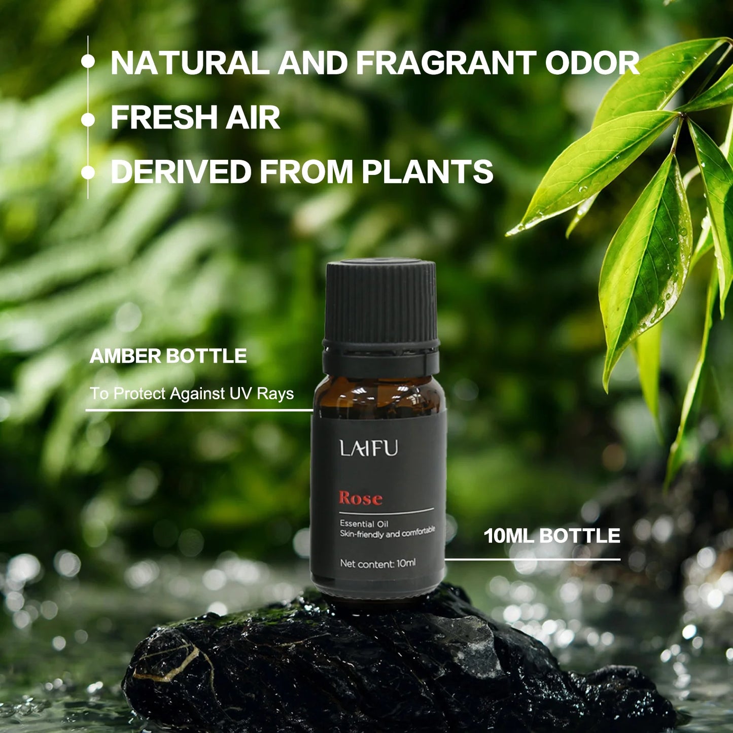 Water Soluble Essential Oil Set for Aromatherapy Humidifier & Diffuser Home Fragrance for Soap Making Hotel & Restaurant Use